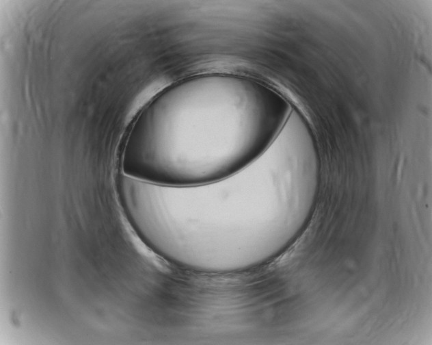 X0000099431042200805090722