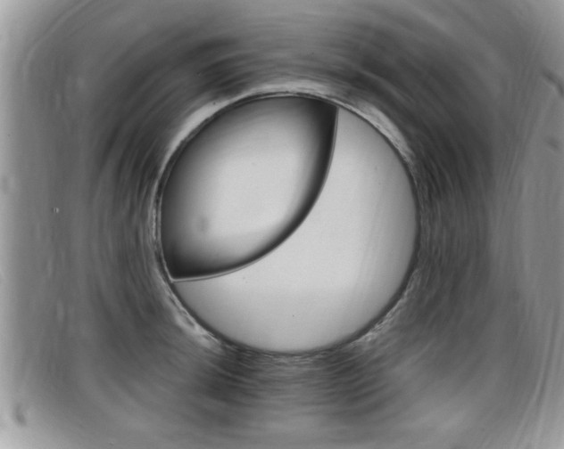 X0000099431044200805090722