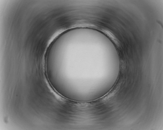 X0000099431046200805090722