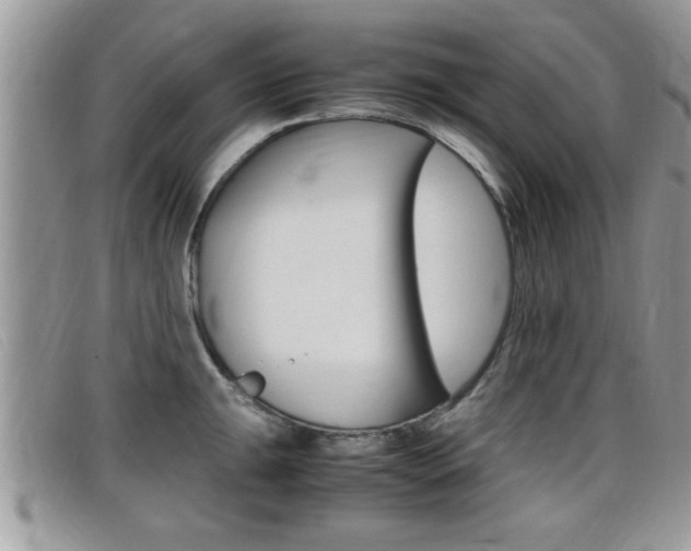 X0000099431047200805090722