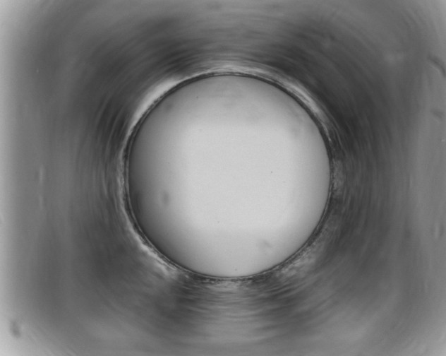 X0000099431048200805090722
