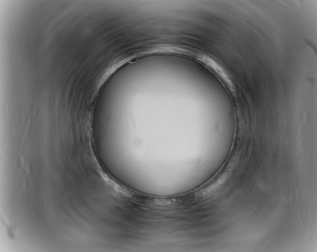 X0000099431049200805090722