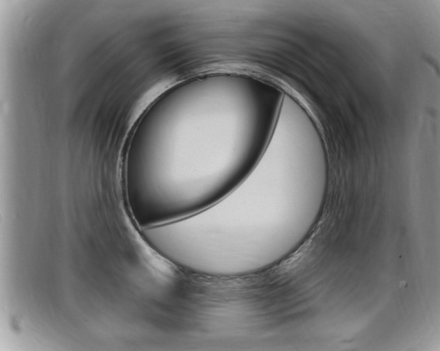 X0000099431050200805090722