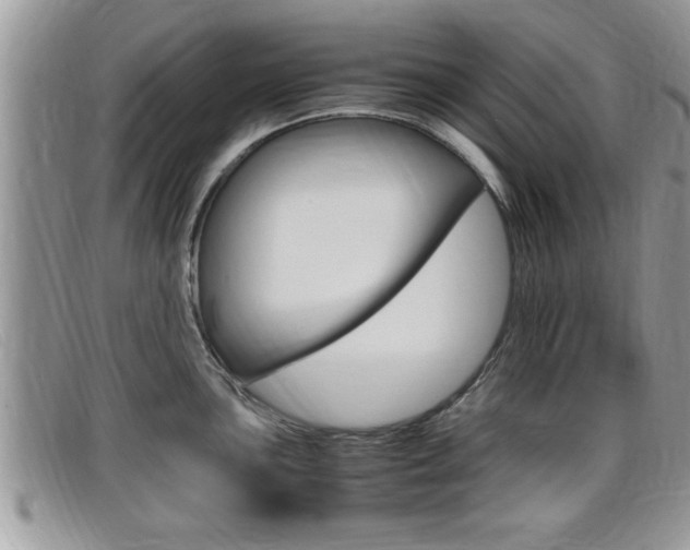 X0000099431051200805090722