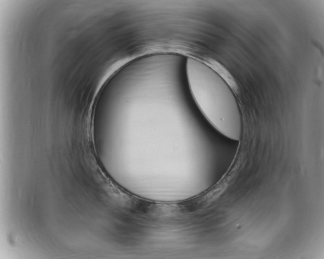 X0000099431052200805090722