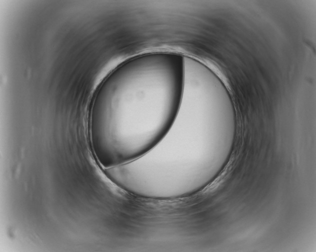 X0000099431054200805090722