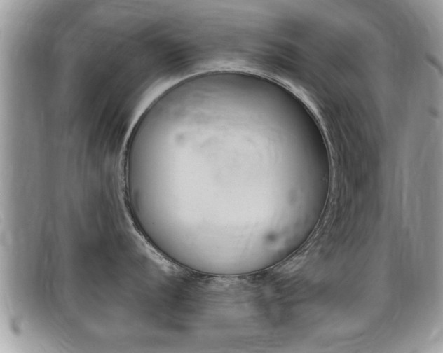X0000099431056200805090723
