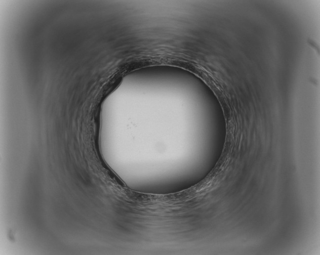 X0000099431057200805090722