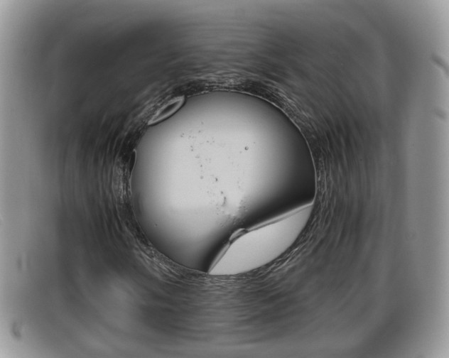 X0000099431058200805090722