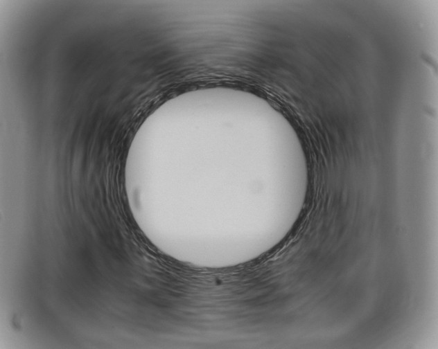 X0000099431059200805090722