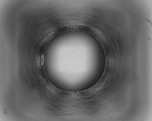 X0000099431060200805090722