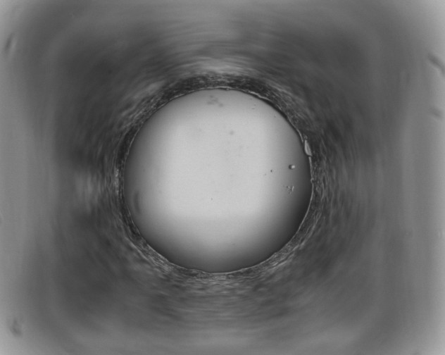X0000099431061200805090722
