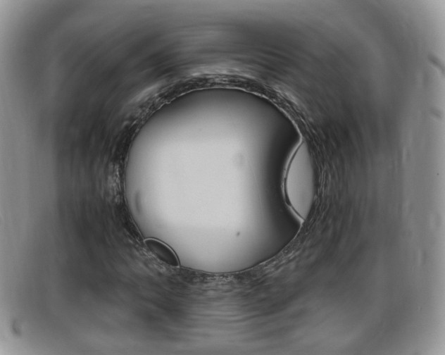X0000099431062200805090722