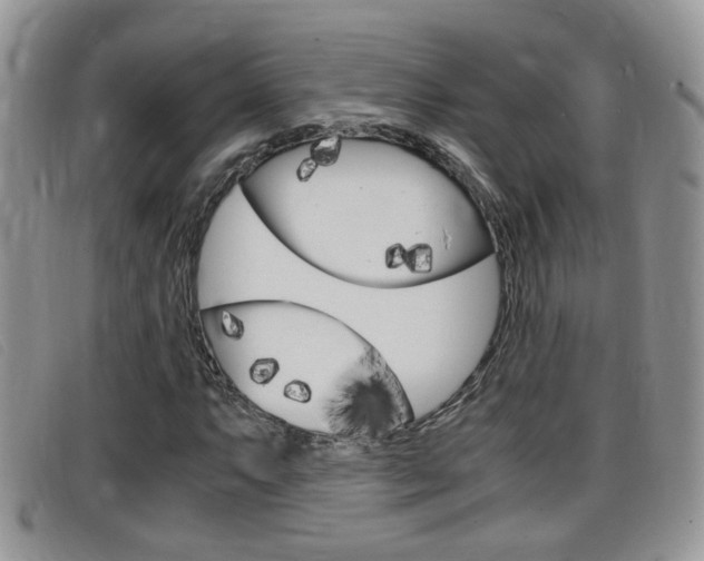 X0000099431063200805090722