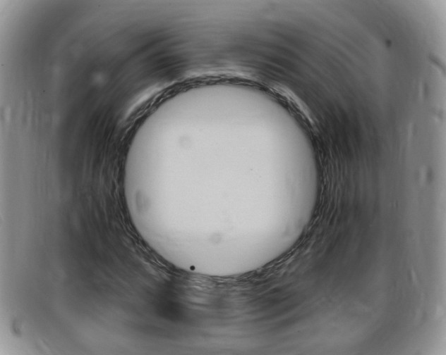 X0000099431064200805090722