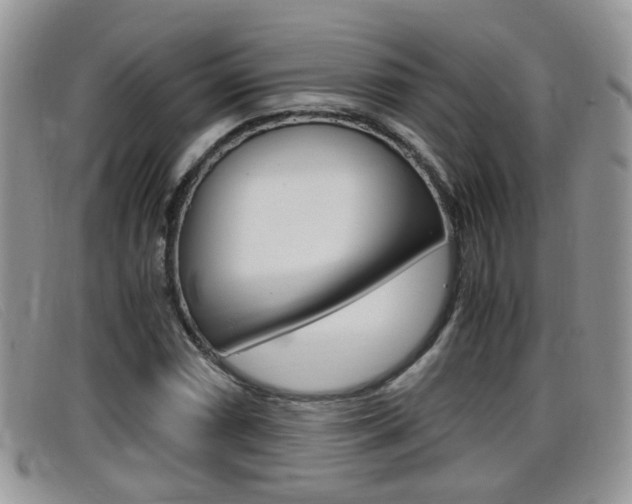 X0000099431066200805090722
