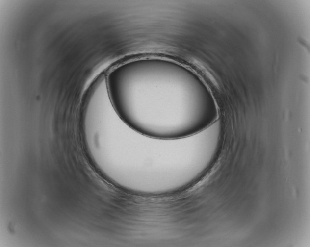X0000099431069200805090722