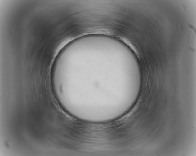 X0000099431071200805090722
