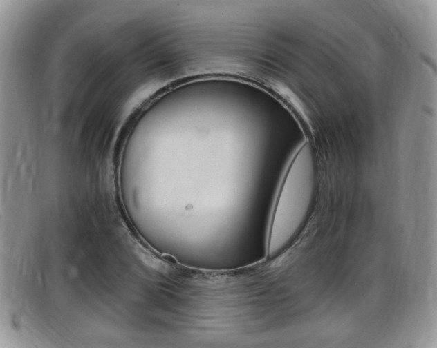 X0000099431072200805090722