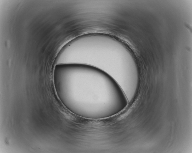 X0000099431073200805090722