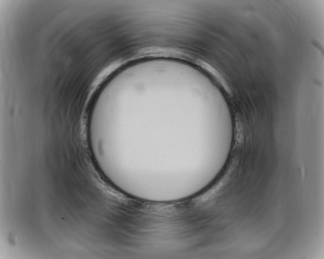 X0000099431074200805090722
