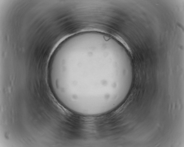 X0000099431076200805090722