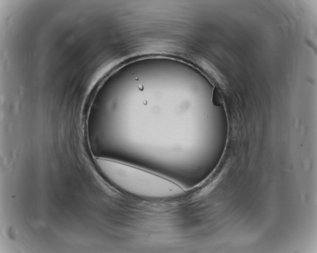 X0000099431077200805090722