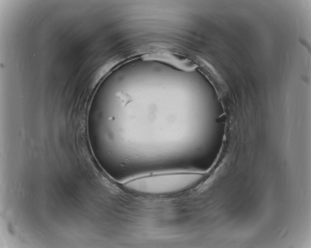 X0000099431081200805090722