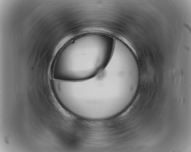X0000099431082200805090722