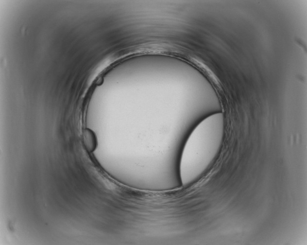 X0000099431083200805090722