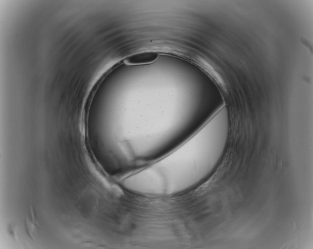 X0000099431084200805090721