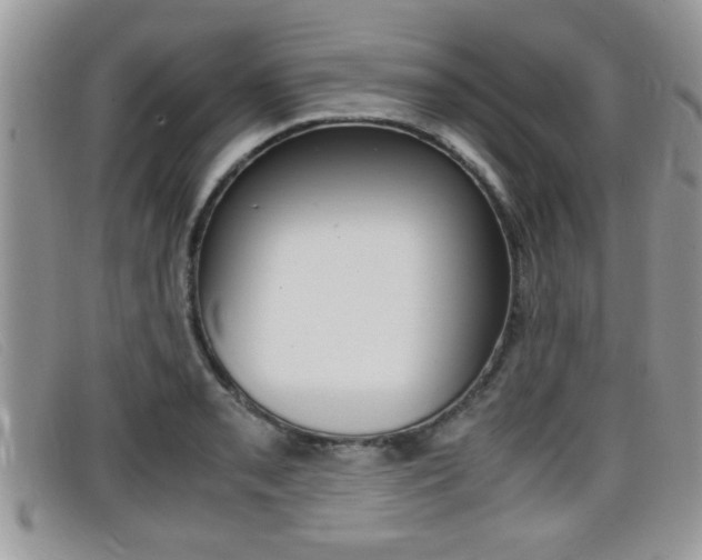 X0000099431085200805090721