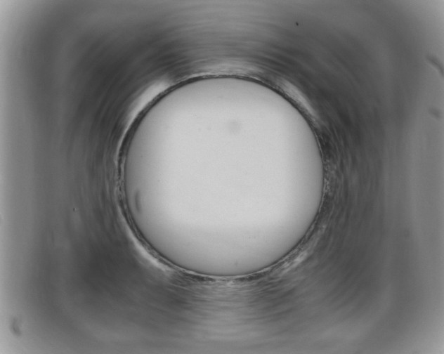 X0000099431087200805090721