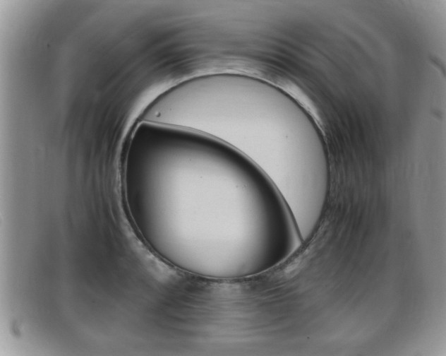 X0000099431088200805090721