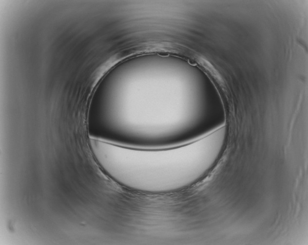 X0000099431089200805090721