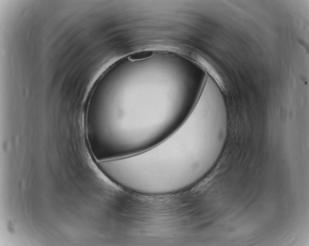X0000099431092200805090721