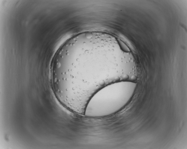 X0000099431095200805090721
