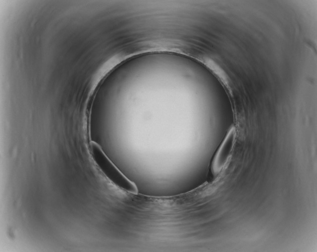 X0000099431096200805090721