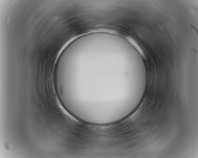 X0000099431100200805090721