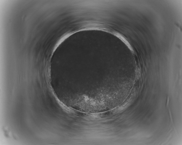X0000099431101200805090721