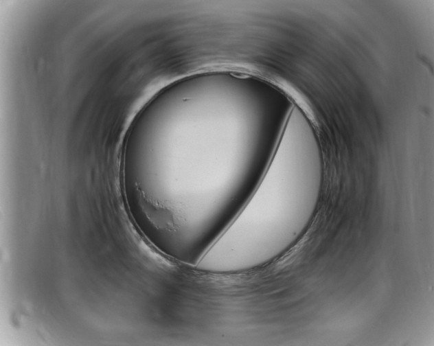 X0000099431102200805090721