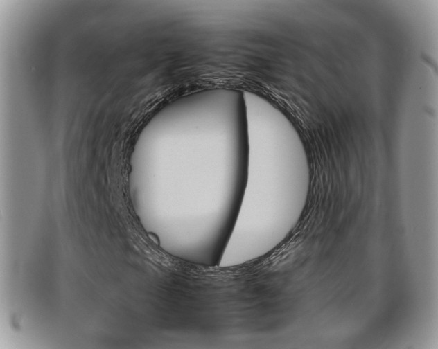 X0000099431105200805090721