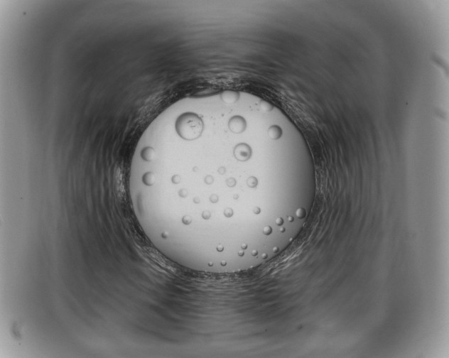 X0000099431106200805090721