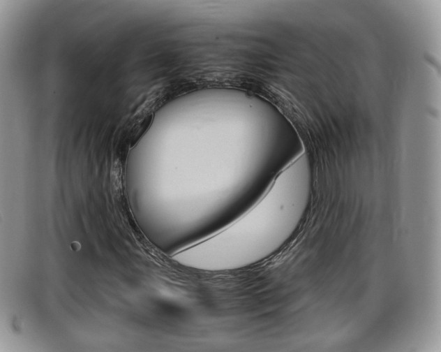 X0000099431107200805090721