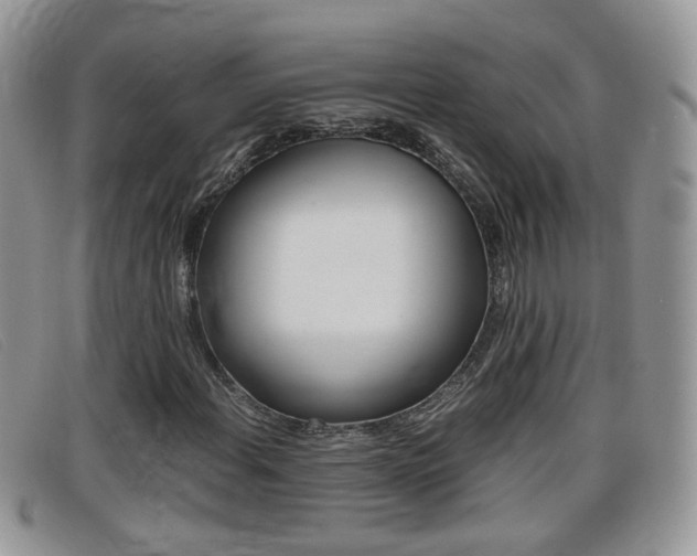 X0000099431108200805090721
