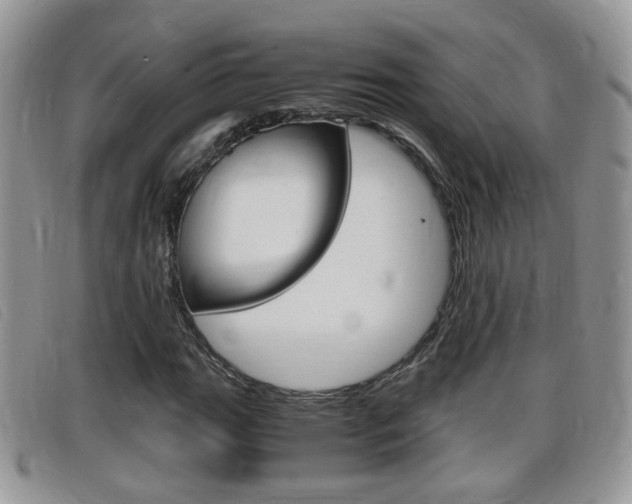 X0000099431111200805090721