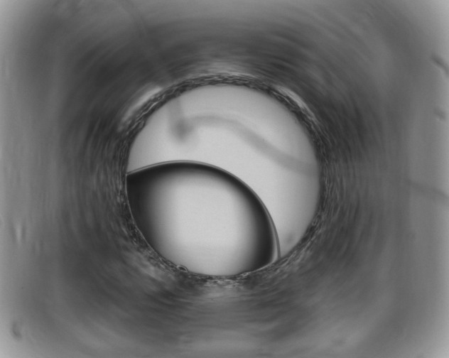 X0000099431112200805090721
