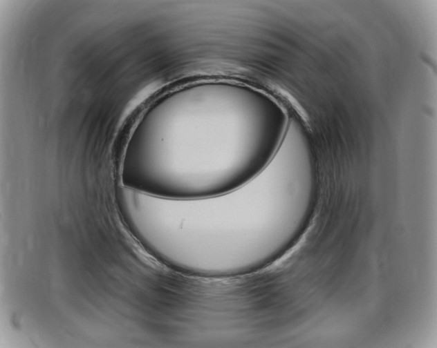 X0000099431114200805090721