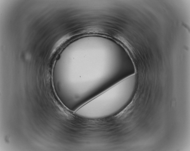 X0000099431115200805090721
