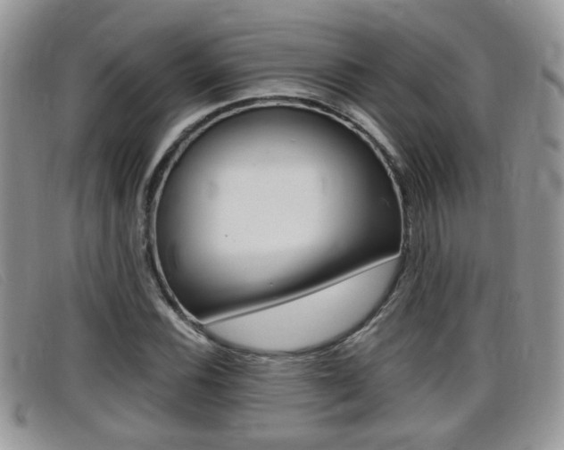 X0000099431116200805090721